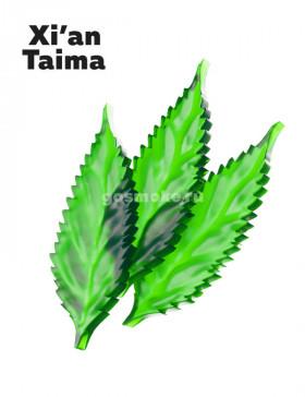 Xian Taima Mary Jane