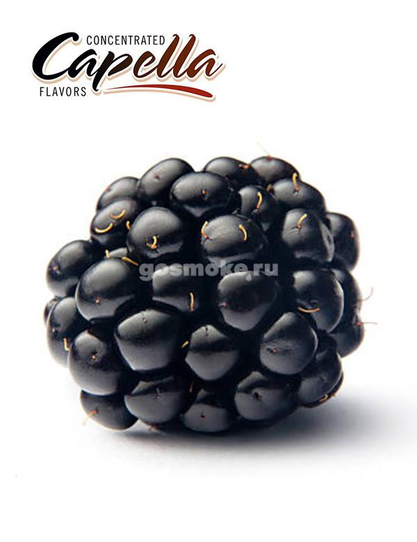 Capella Blackberry