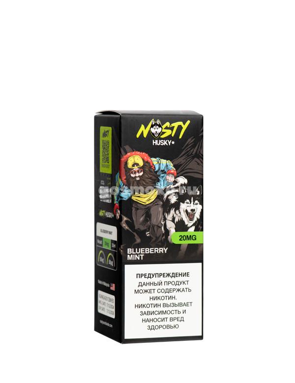 Nasty x Husky Salt Blueberry Mint