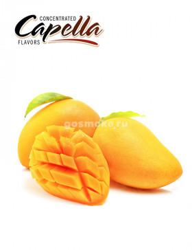 Capella Orange Mango