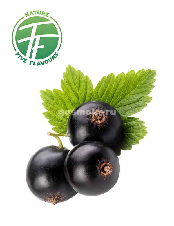 Five Flavours Черная смородина (FF0058)