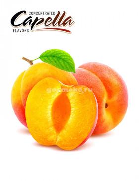 Capella Apricot