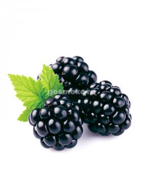TRZ Flavor Blackberry