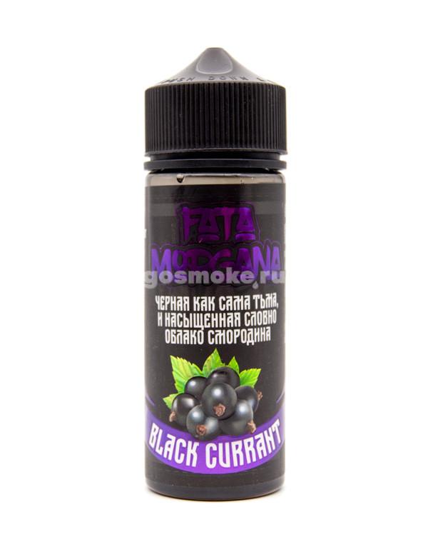 Fata Morgana Black Currant