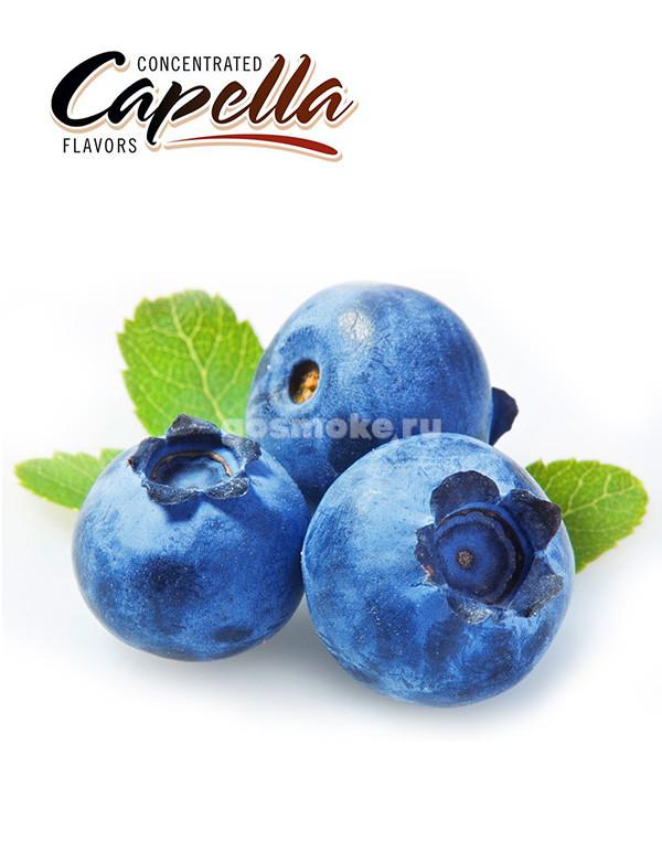 Capella Blueberry