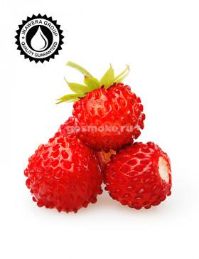 Inawera Wild Strawberry