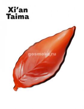 Xian Taima Burley Tobacco
