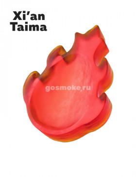 Xian Taima Dragon Fruit