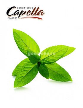 Capella Peppermint
