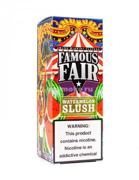 Famous Fair Watermelon Slush