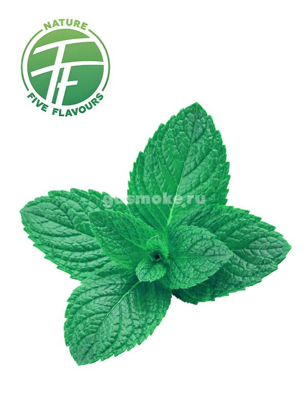 Five Flavours Мята (FF0045) Five Flavours Мята (FF0045)