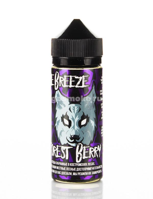 Freeze Breeze Forest Berry