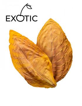 Exotic USA Sigar