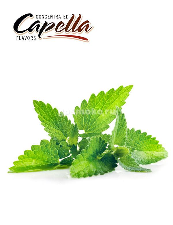 Capella Cool Mint