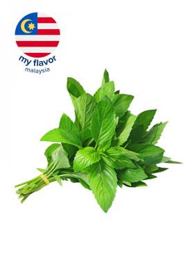 My Flavor Malaysia Mint