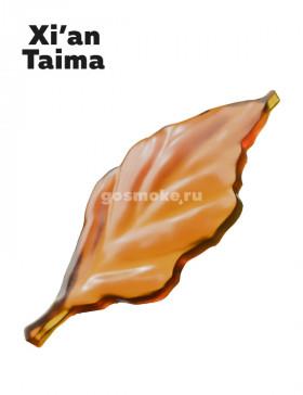 Xian Taima Dunhill