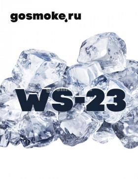 Охлаждающий агент WS-23 (30%)