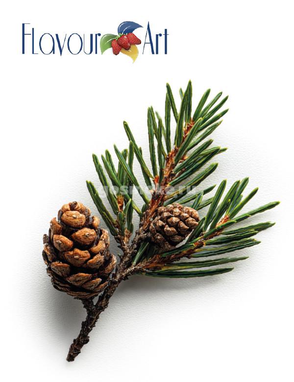 FlavourArt Pinus Sibirica
