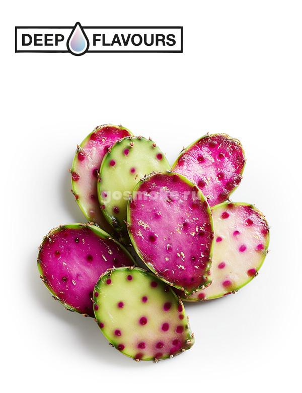Deep Flavours Cactus